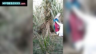 Village bhabhi fuck with her lover in sugar can field