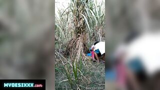 Village bhabhi fuck with her lover in sugar can field