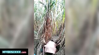 Desi village bhahbi fuck with her neighbour in field